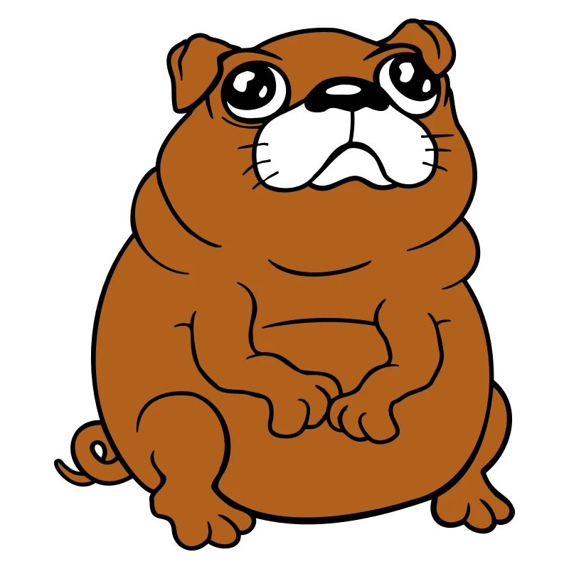 Mops Hund Sitzt Klein Betteln Dick Guckt Traurig