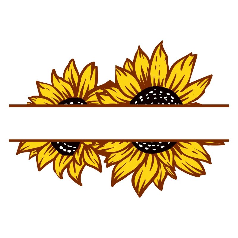 Doppelte Sonnenblumen-Split-Farbe