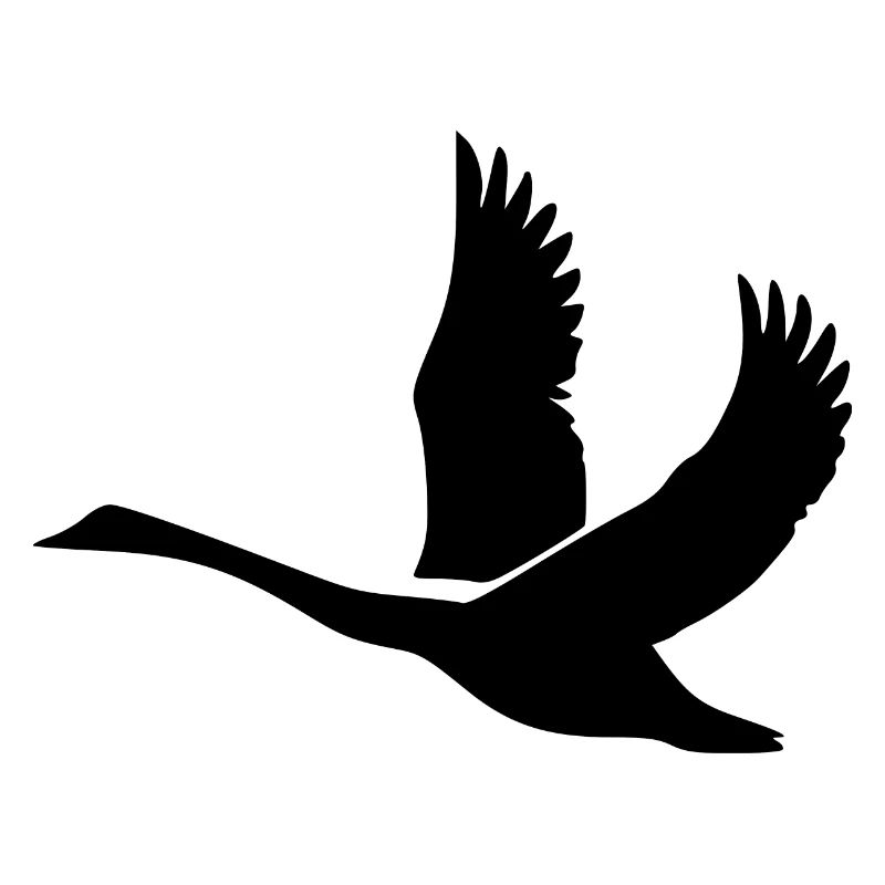 Schwan mit gewaltigen Schwingen