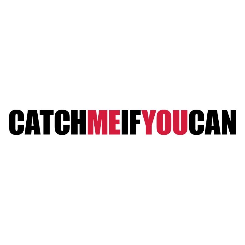 Fast Catch Me