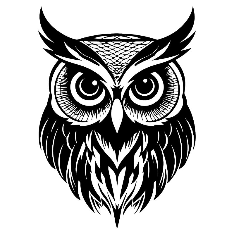 Eule Eulen Vogel Vögel
