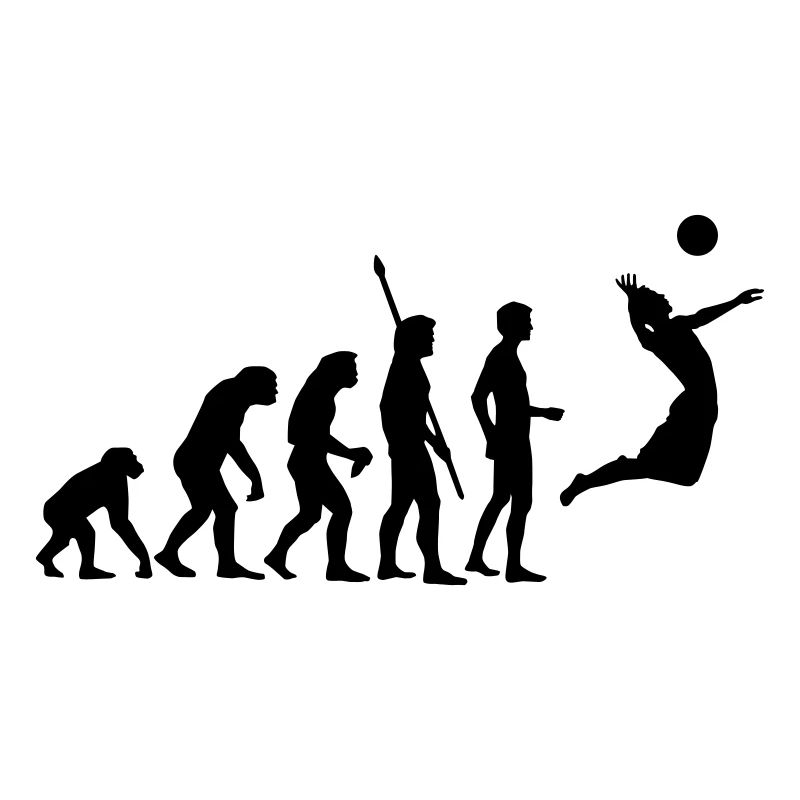 evolution_volleyball_1c
