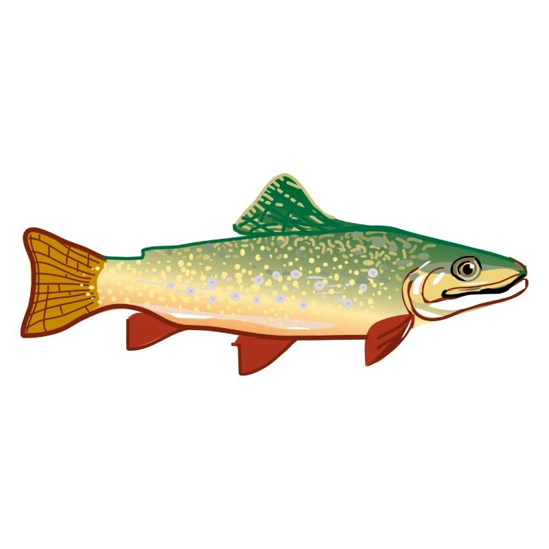 fish524