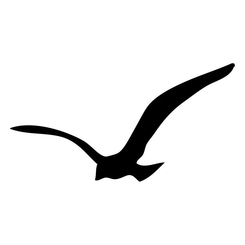 Möwe Seagull California Surf