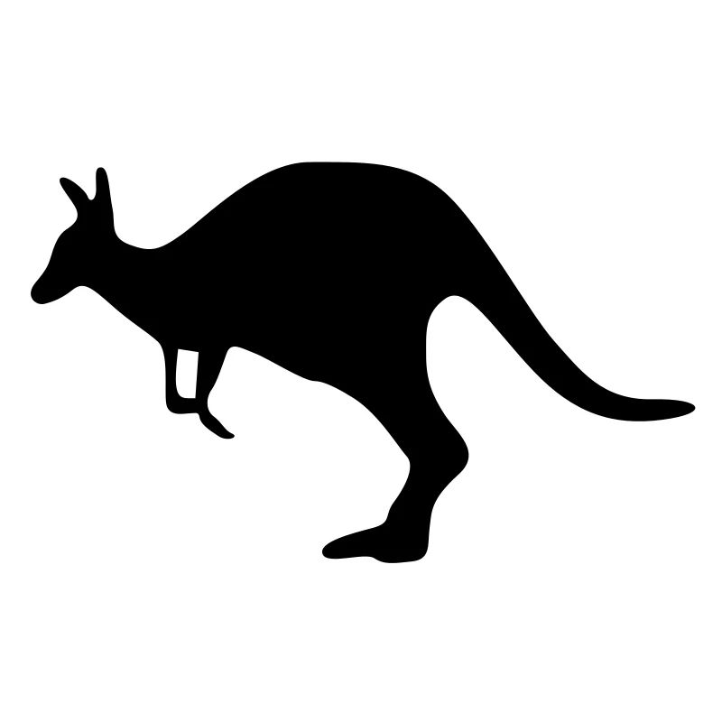 Känguru kangaroo Australien