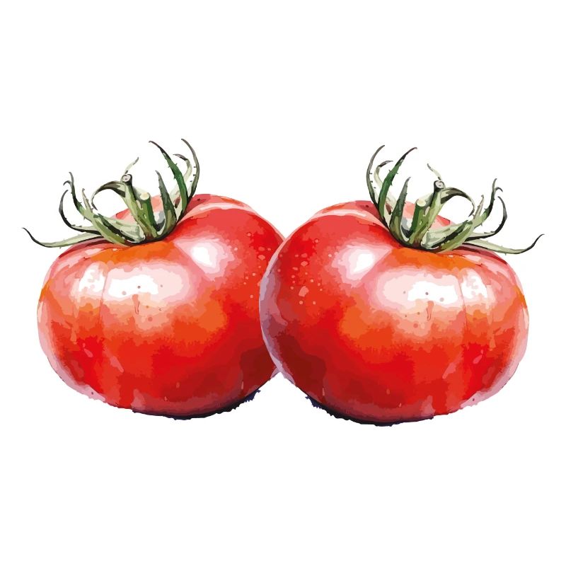 tomatoes