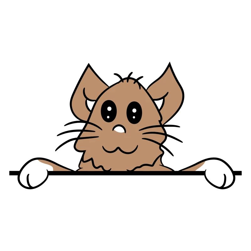 Jolie petite chatte jetant un coup d’œil caché derrière le mur