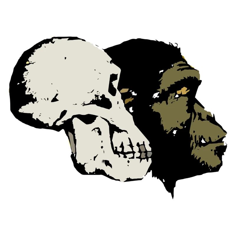 Evolution