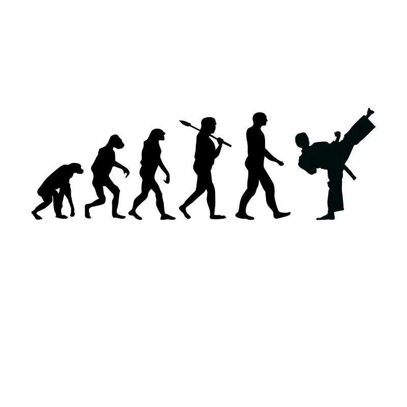 Karate T-Shirt · Evolution · Kampfkunst · Sport