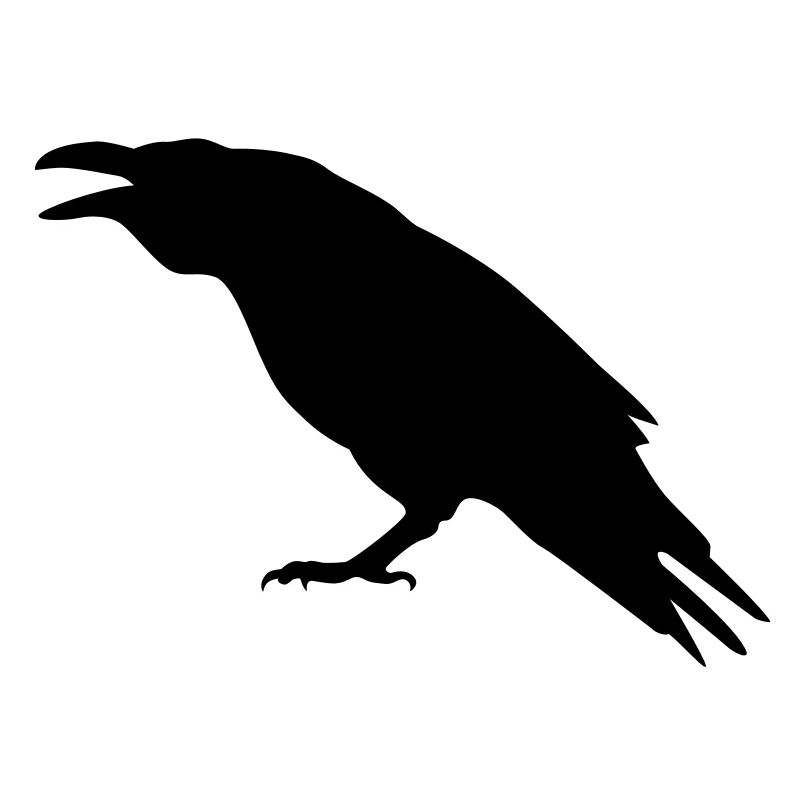 raven