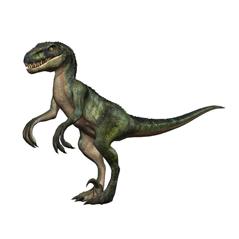 Velociraptor dinosaurs 5