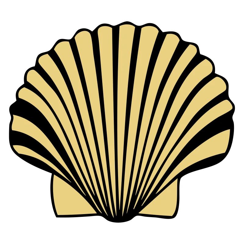 coquille saint jaques coquillage de Compostelle