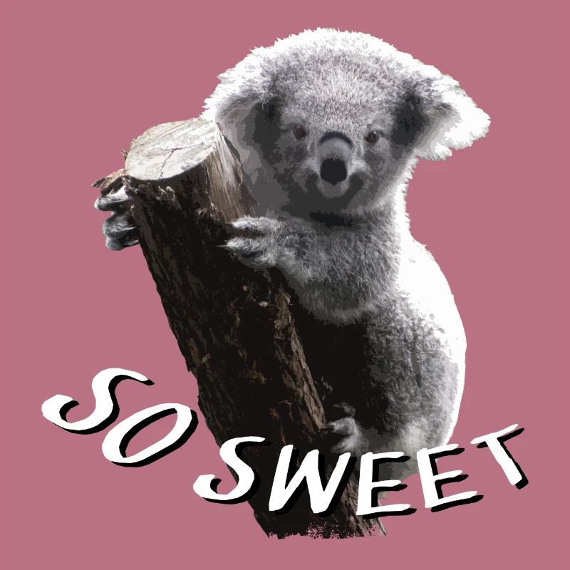 Koalabär - Koala - Koala bear