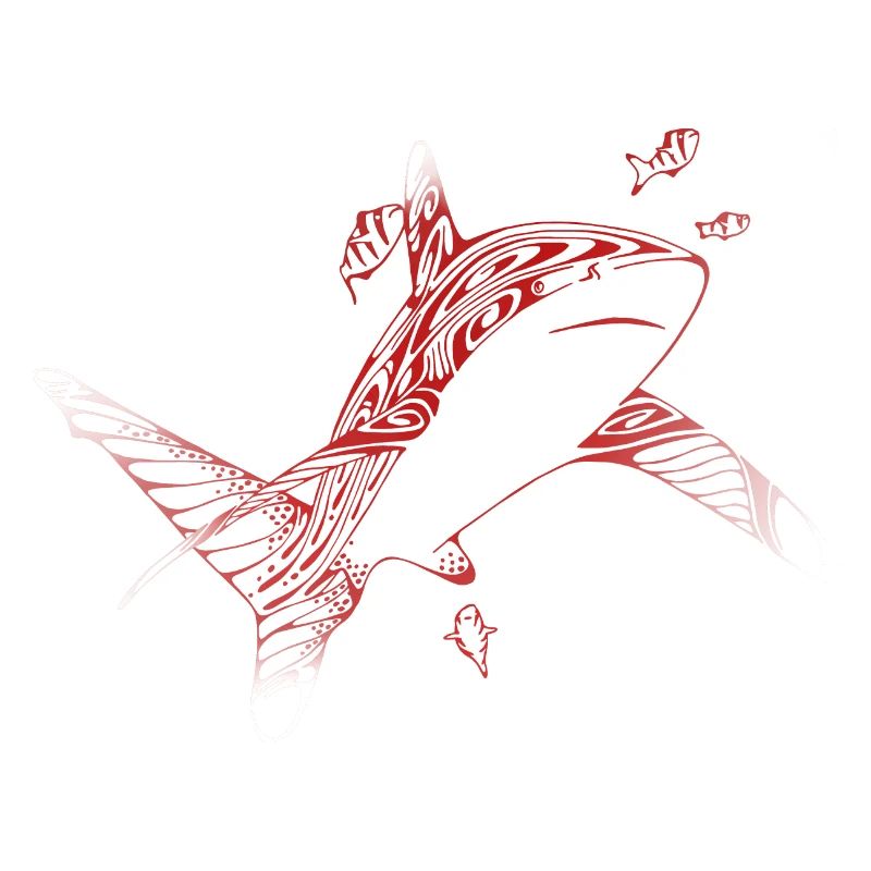 Requin de plongée