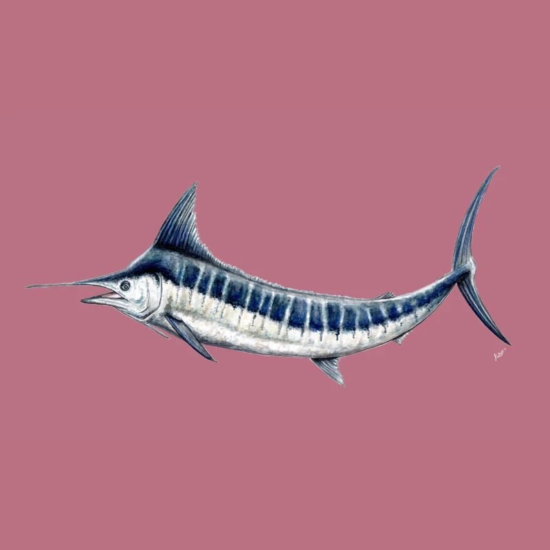 Blue Marlin - Blue marlin - Espadon - Fish
