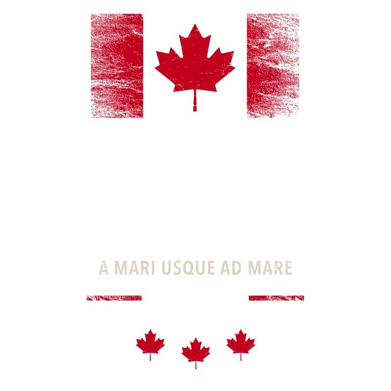 Canada Canada America maple leaf flag flag bear