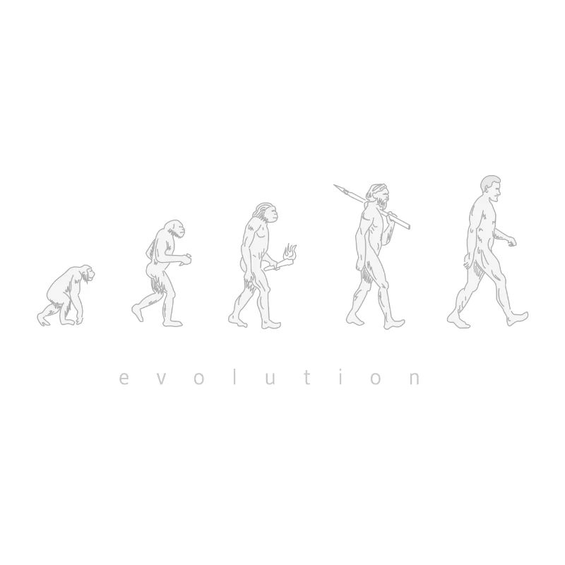 Human evolution