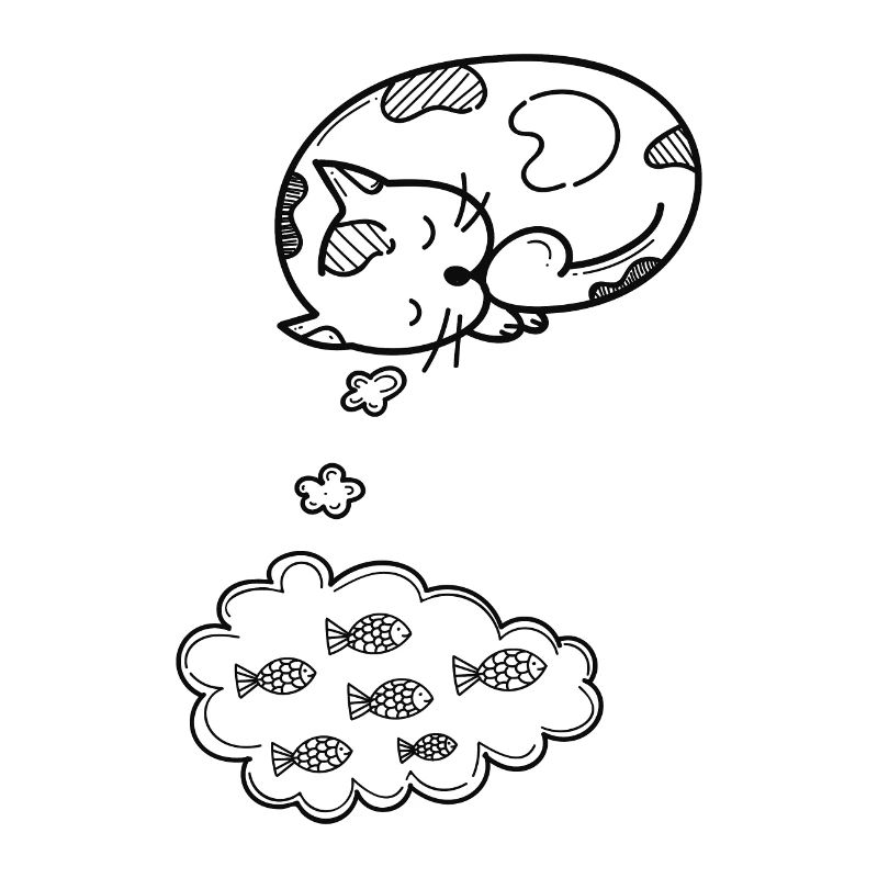 Chat kitty meow idée cadeau chat dame