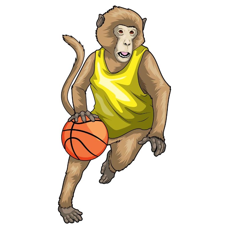 Singe Basketteur Basketteur