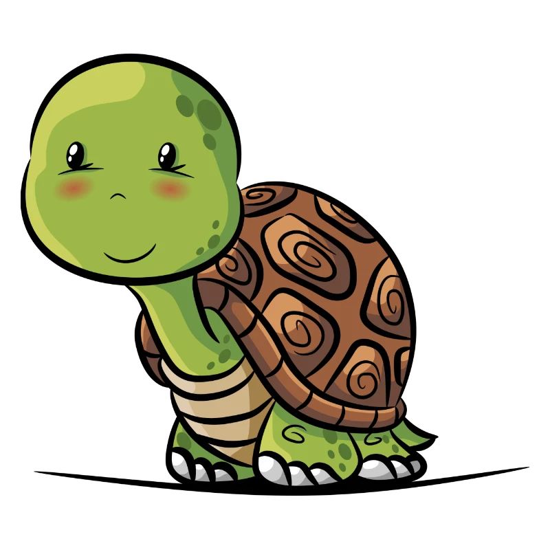 tortue