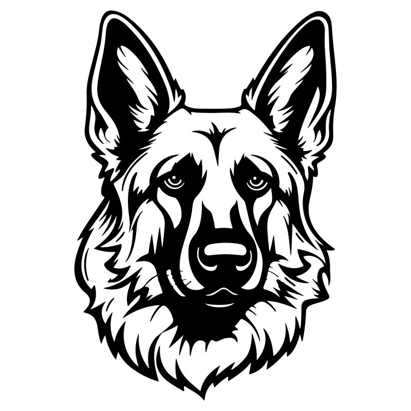 Schäferhund Hund Kopf