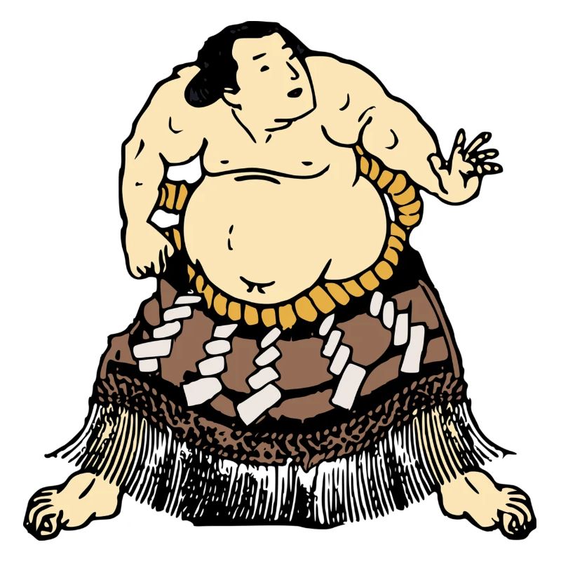 Sumo Ringer