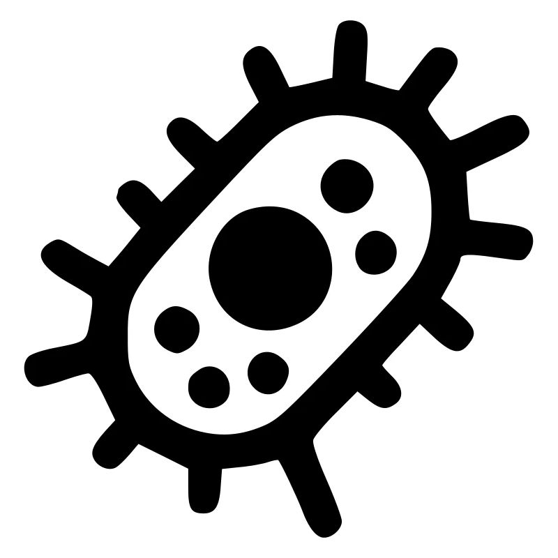 Bacteria