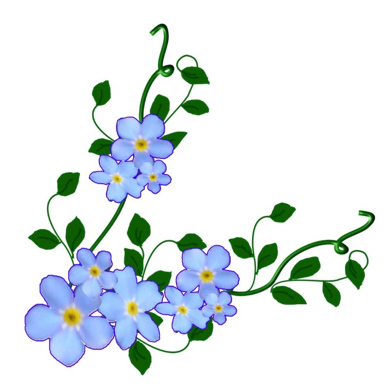 do not forget me