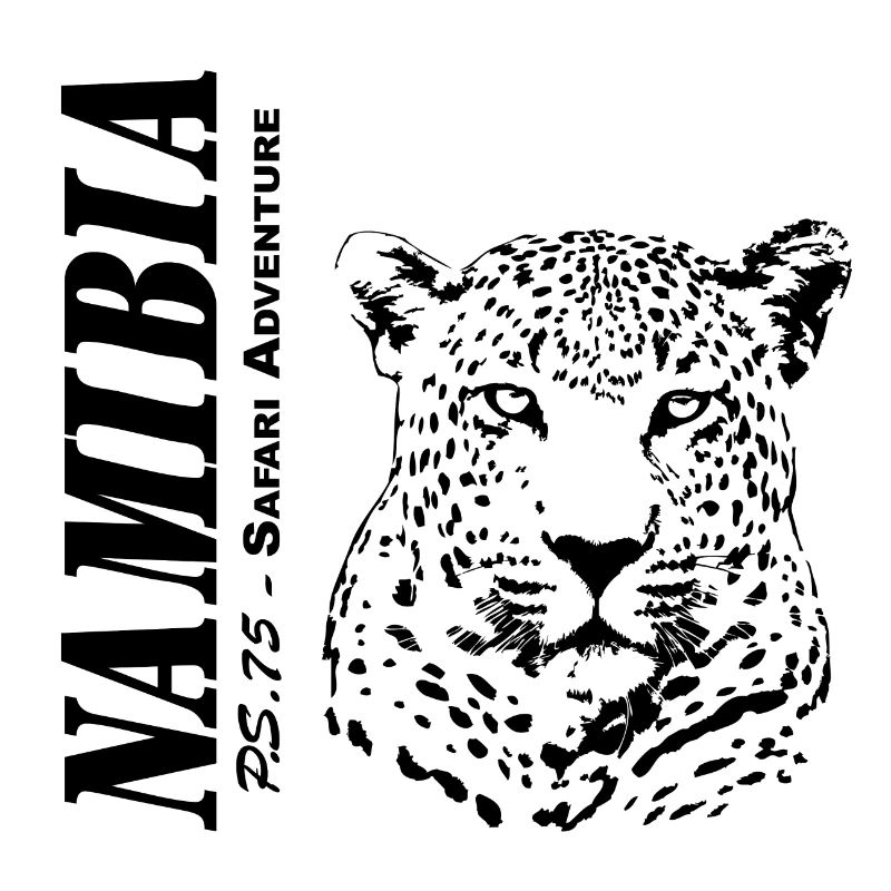 Namibia - Leopard