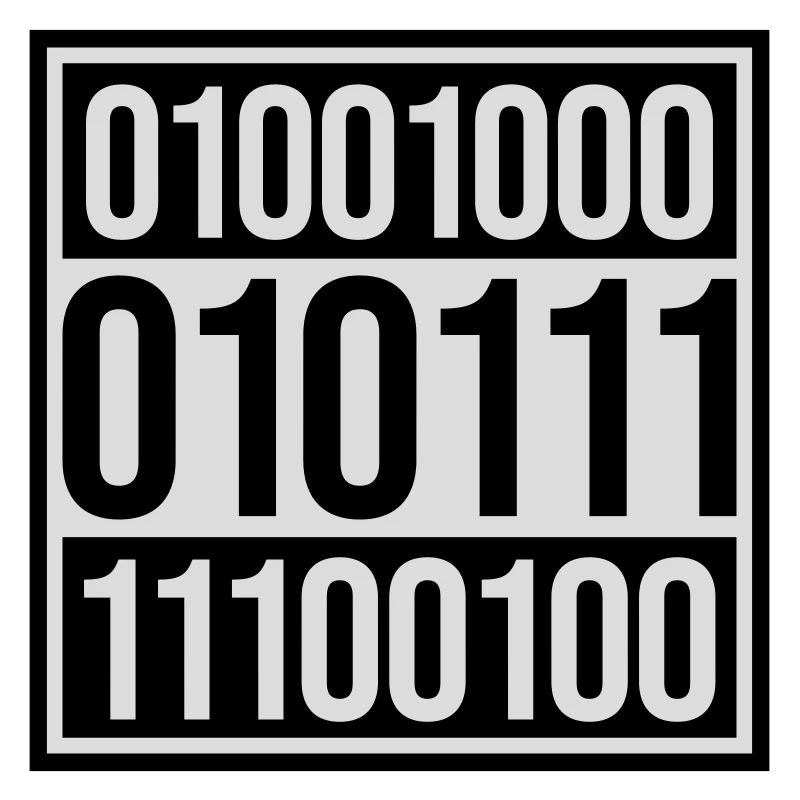 Binary Code Program Language
