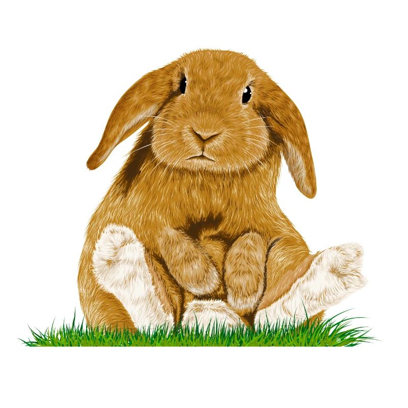 Easter Bunny