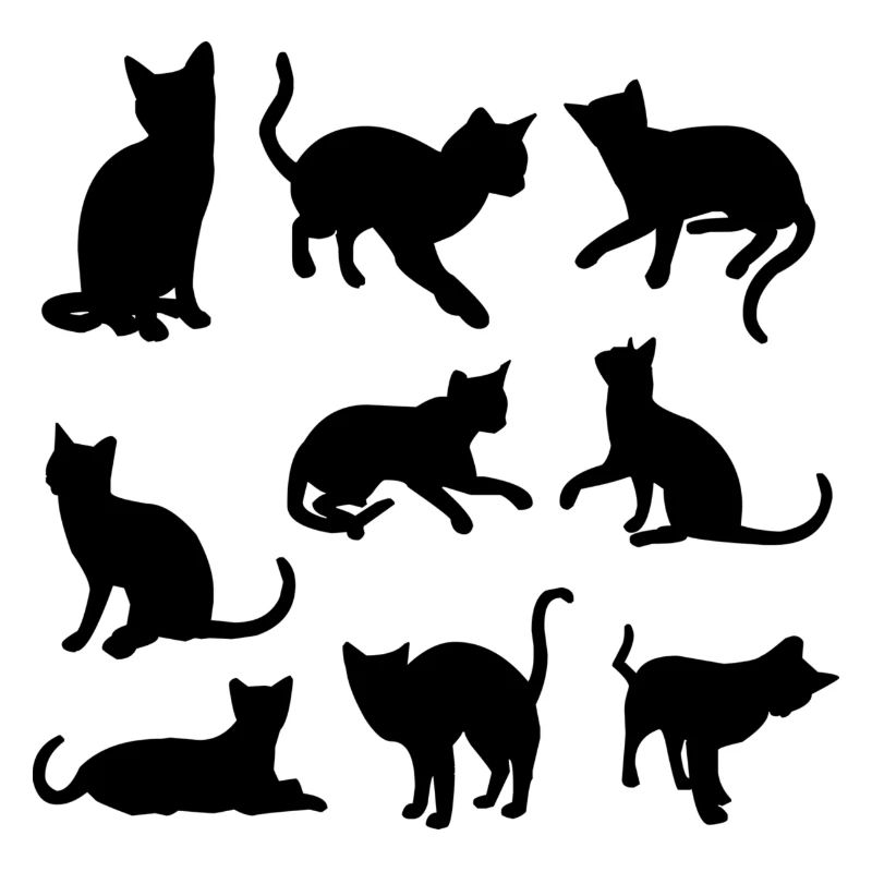 chats