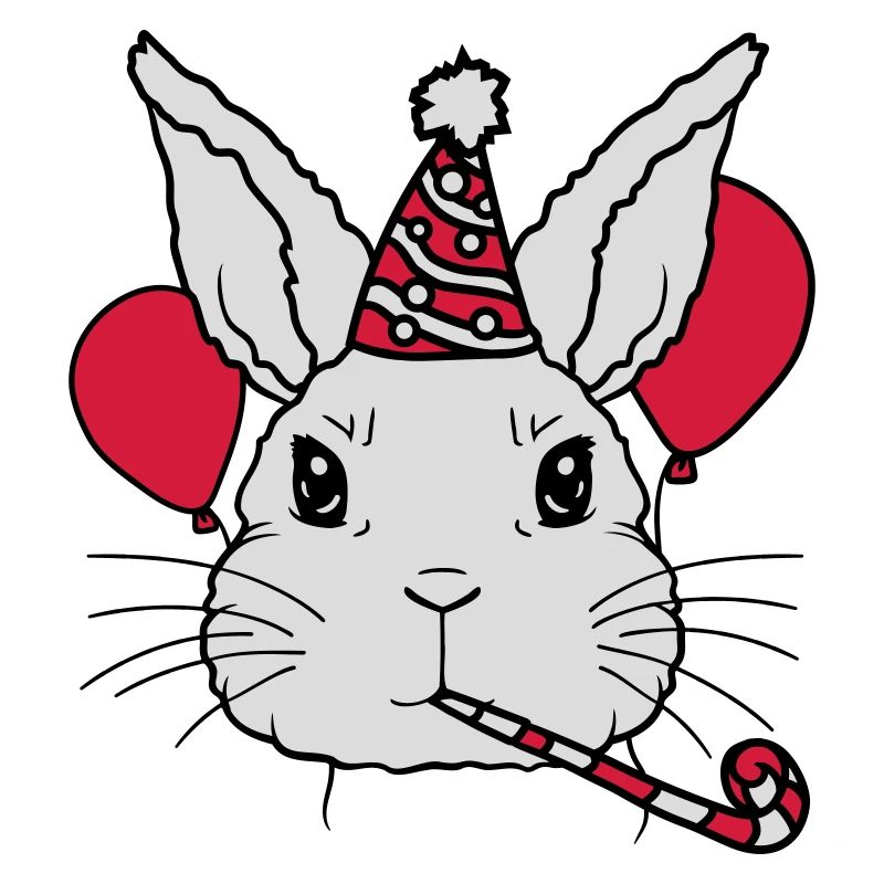 Geburtstagskind Hase Tröte Partyhut