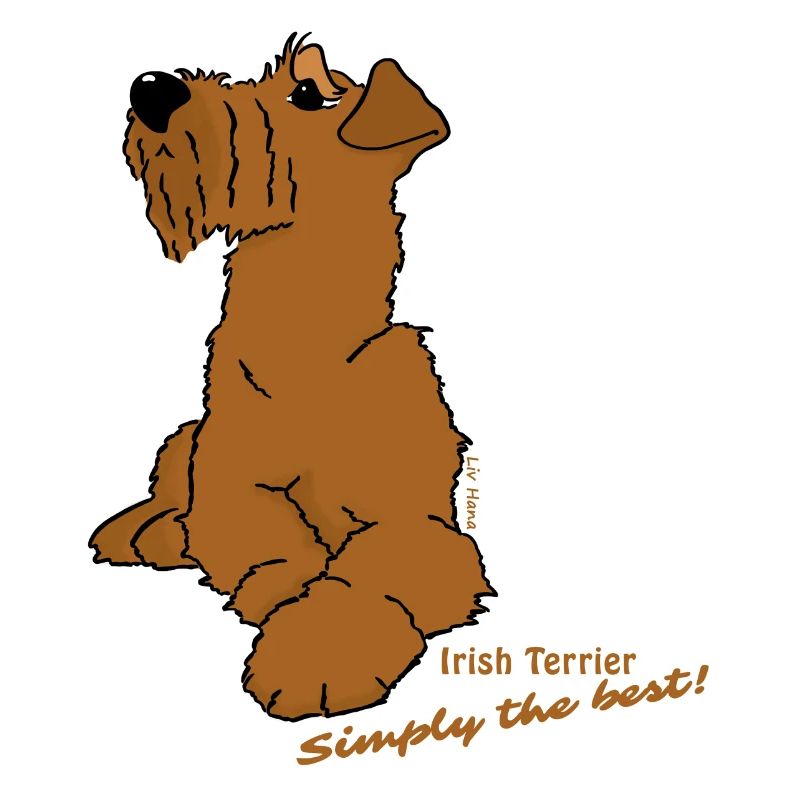 Irish Terrier liegend