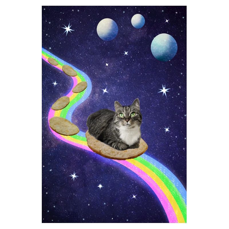 Mignon chat de l’espace