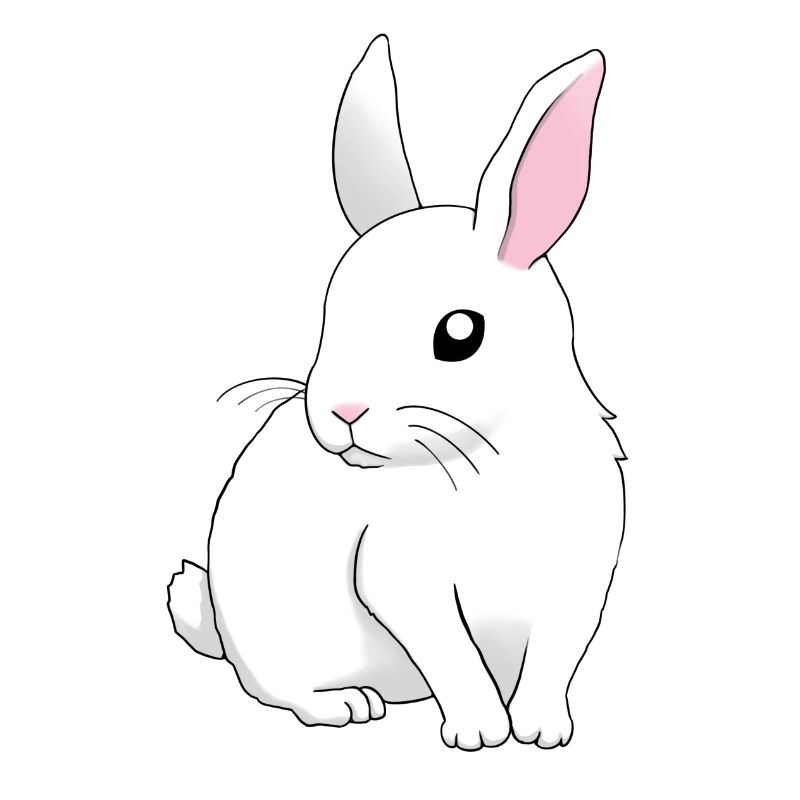 weißer Hase sitzend