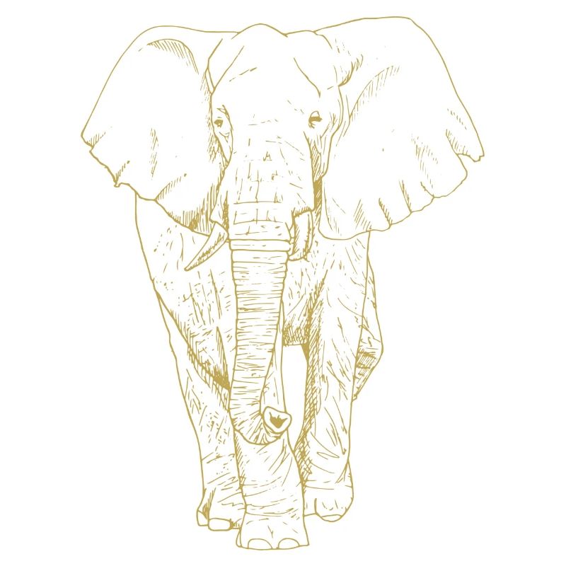 Motifs illustrés avec éléphant