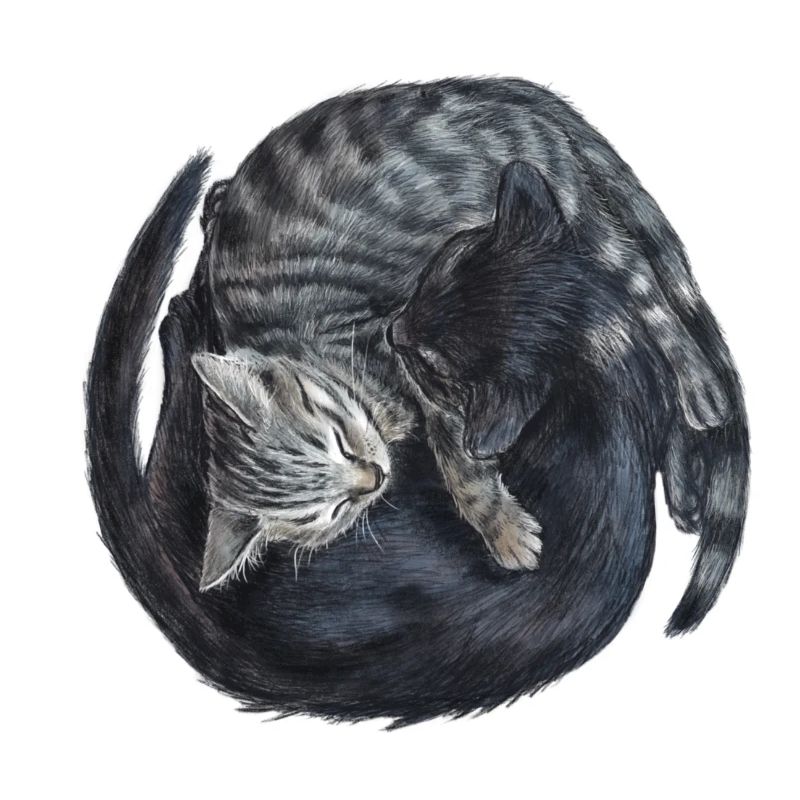 Yin & Yang Katzen - Geschenkidee - Kätzchen - süß