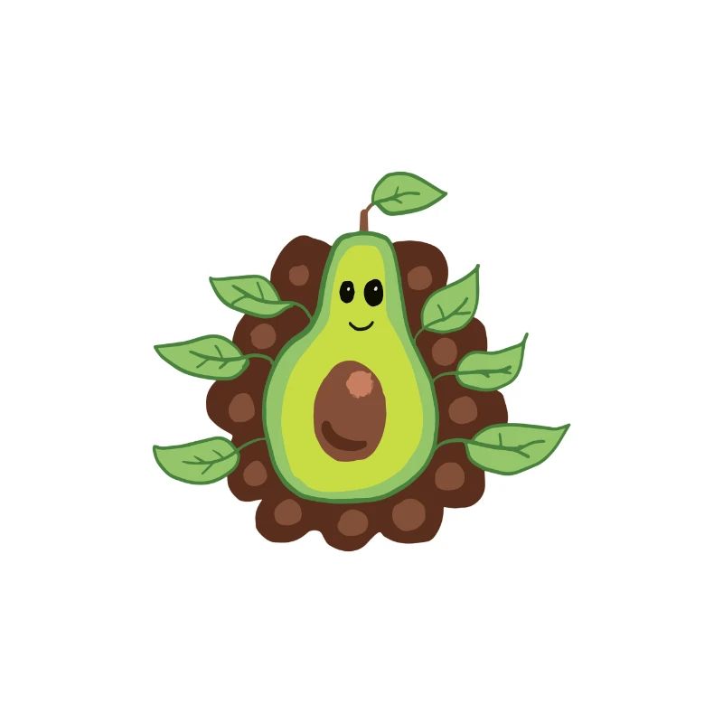 Avocado lecker gesund essen Geschenk