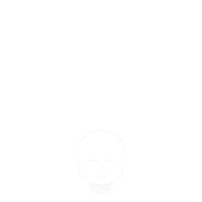 NYC Skull