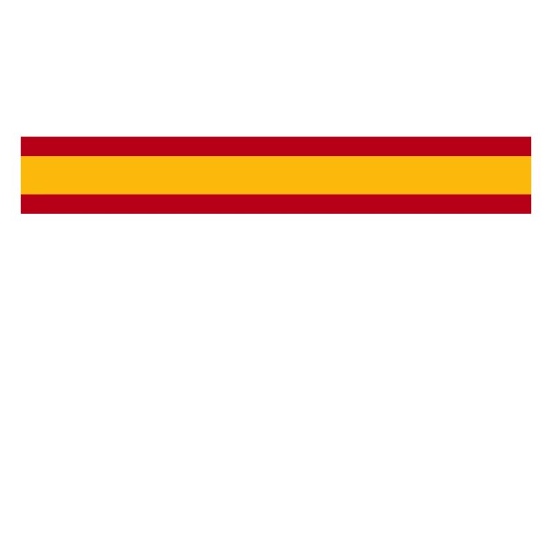 ESP FLAG