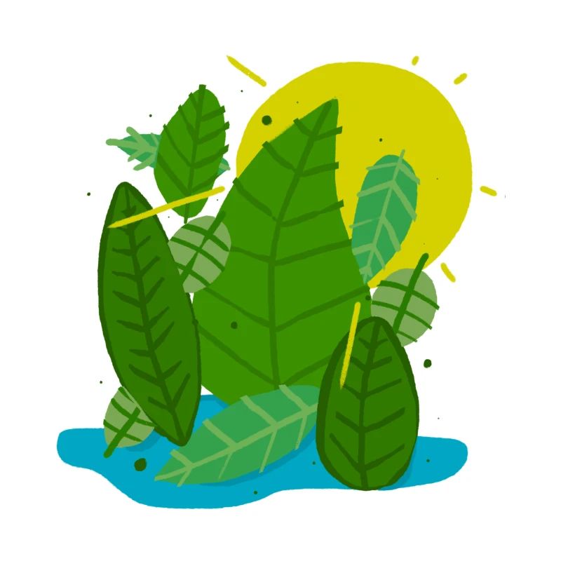 Cadeau de conception estivale vert été