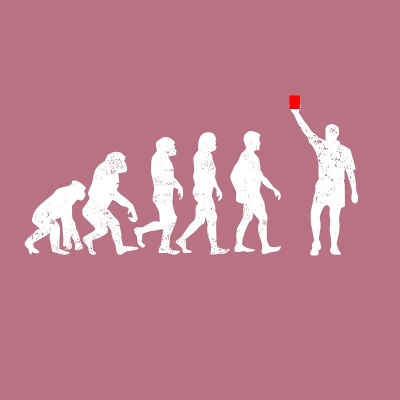 Evolution Referee