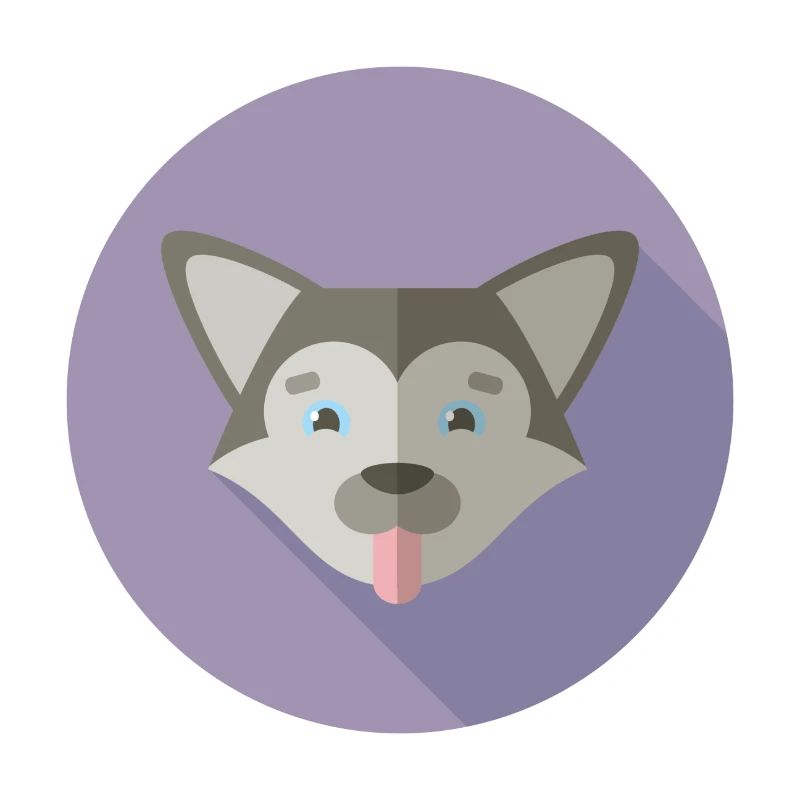 Vector husky