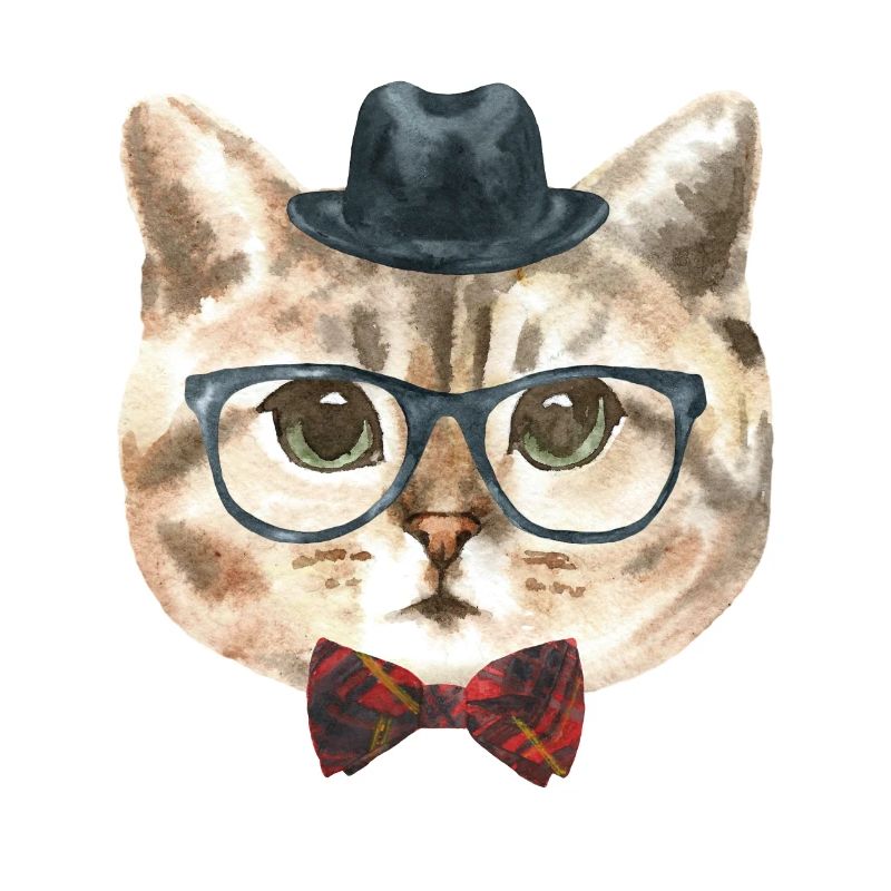 Nerd Katze