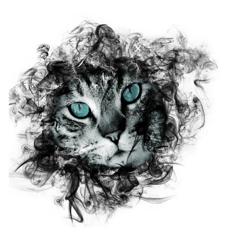 Chat