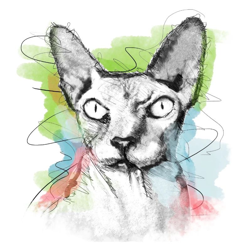 Sphinx cat nude cat sketch
