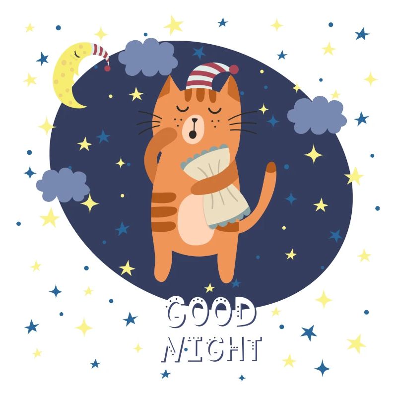 Gute Nacht / Katze