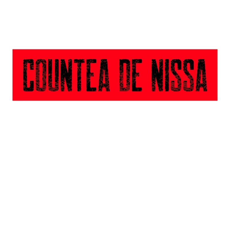 cadeau t-shirt COUNTEA DE NISSA, comté de Nice