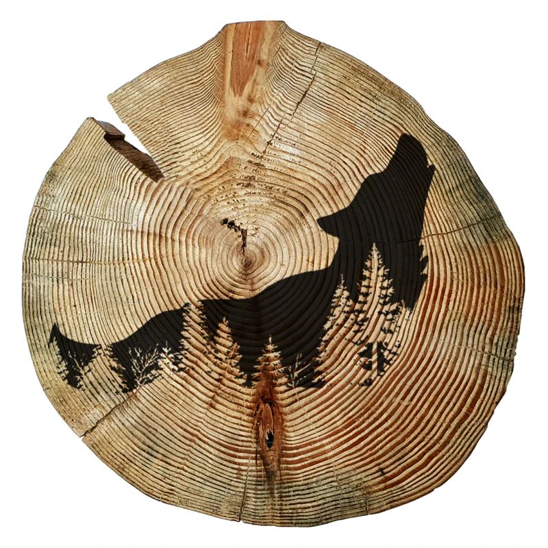 Arbre Disc Wolf